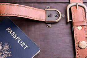 Déménager avec animal